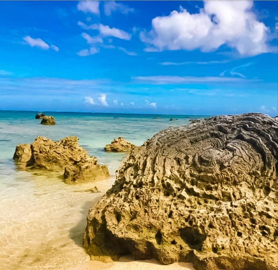 Palm Villa Ishigakijima Yugafu Ishigaki  Dış mekan fotoğraf